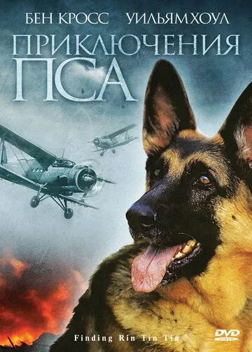 Приключения пса (2007) торрент