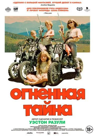 Скачать Огненная тайна