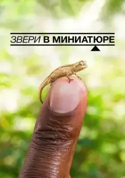 Звери в миниатюре (2017) торрент