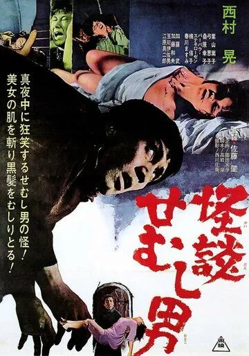 Скачать Тайна горбуна (1965)