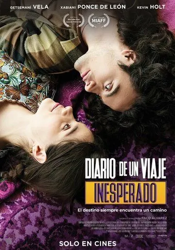 Diario de un viaje inesperado (2023) торрент