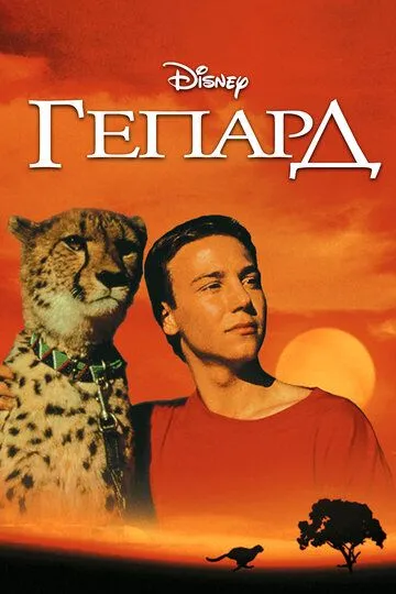 Скачать Гепард