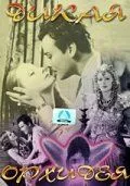 Скачать Дикие орхидеи (1929)