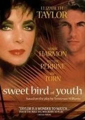 Сладкоголосая птица юности (1989) торрент