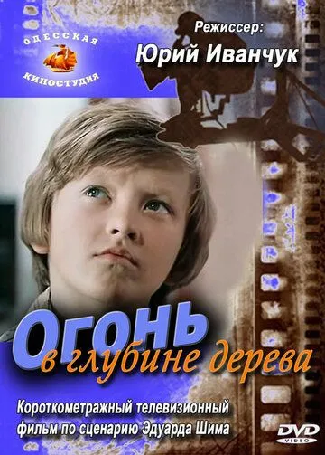 Огонь в глубине дерева (1978) торрент