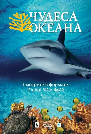 Скачать Чудеса океана 3D