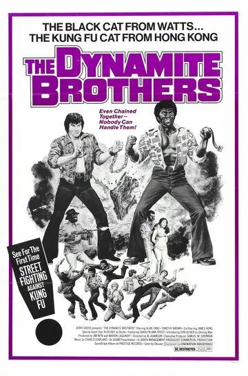 Скачать Dynamite Brothers (1974)