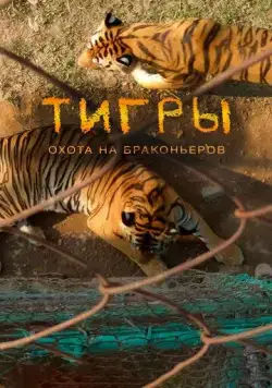 Тигры: Охота на браконьеров (2020) торрент