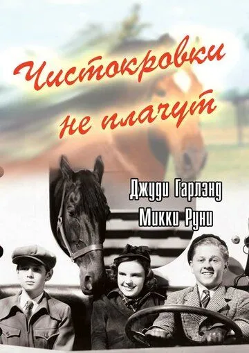 Скачать Чистокровки не плачут (1937)