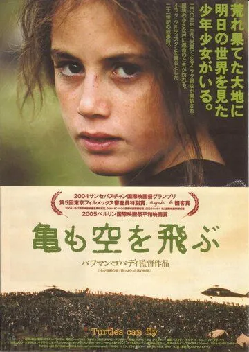Скачать И черепахи умеют летать (2004)