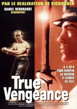 Скачать Один против якудза (1997)