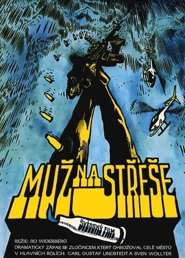 Скачать Человек на крыше (1976)