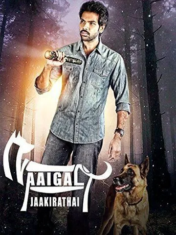 Берегитесь собак (2014) торрент