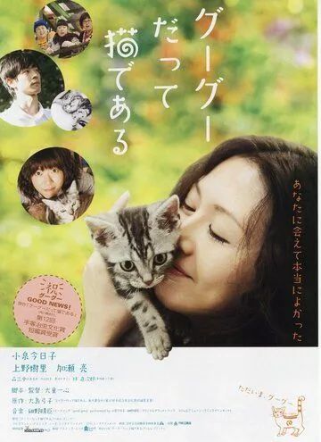 Кот по имени Гу-Гу (2008) через торрент бесплатно Скачать Кот по имени Гу-Гу