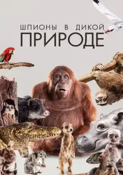 Шпионы в дикой природе (2017) торрент