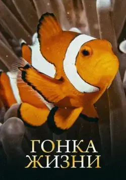 Скачать Гонка жизни (2015)