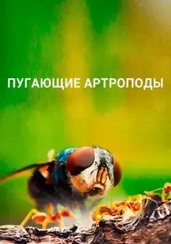 Скачать Пугающие артроподы (2020) через торрент бесплатно