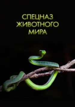 Скачать Спецназ животного мира (2018)