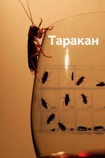 Скачать Таракан