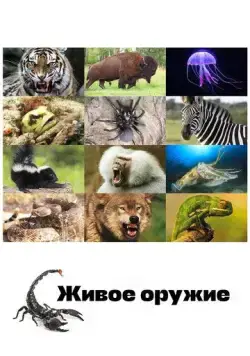Живое оружие (2016) через торрент бесплатно Скачать Живое оружие