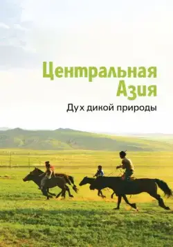 Скачать Центральная Азия. Дух дикой природы (2015) через торрент бесплатно