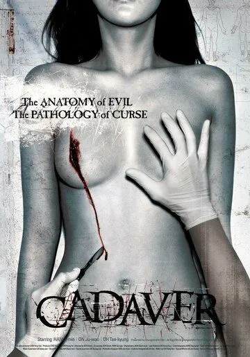 Труп (2006) торрент