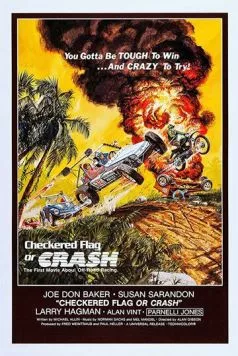 Клетчатый флаг или катастрофа (1977) торрент