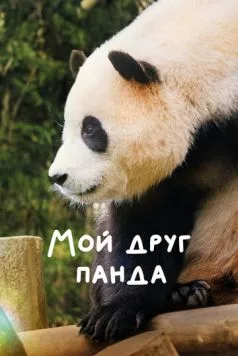 Скачать Мой друг панда (2024)
