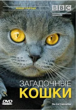 BBC: Загадочные кошки (2002) торрент