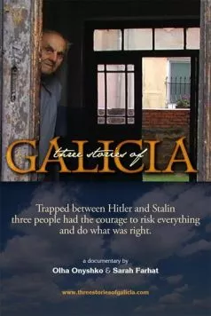 Три истории из Галичины (2010) торрент