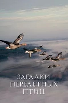 Загадки перелётных птиц (2014) торрент