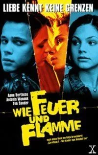 Как огонь и пламя (2001) торрент