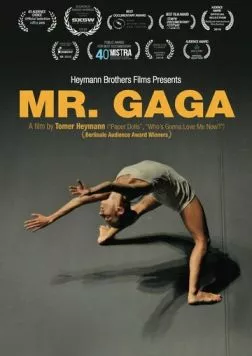 Мистер Гага (2015) торрент