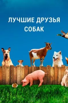 Лучшие друзья собак (2014) через торрент бесплатно Скачать Лучшие друзья собак (2014) через торрент бесплатно
