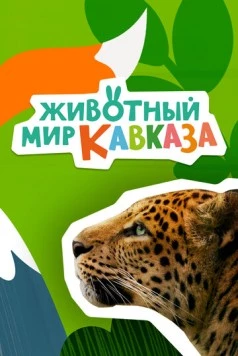 Животный мир Кавказа (2022) торрент