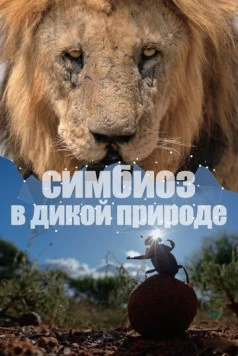 Симбиоз в дикой природе (2023) торрент