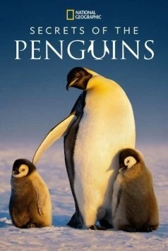 Secrets of the Penguins (2025) торрент