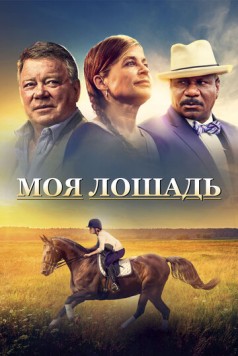 Моя лошадь (2016) торрент