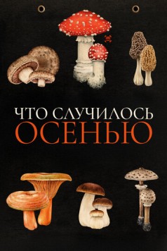 Что случилось осенью (2024) торрент