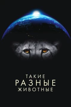 Такие разные животные (2024) торрент