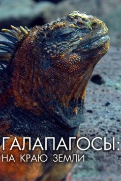 Галапагосы: На краю земли (2018) торрент