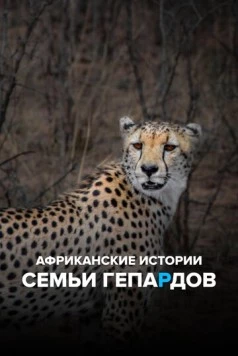 Африканские истории семьи гепардов (2020) торрент