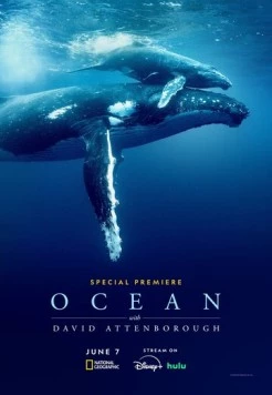 Дэвид Аттенборо: Океан (2025) торрент