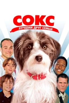 Сокс. Лучший друг семьи (2013) торрент