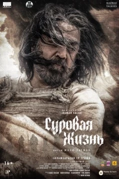 Суровая жизнь (2025) торрент