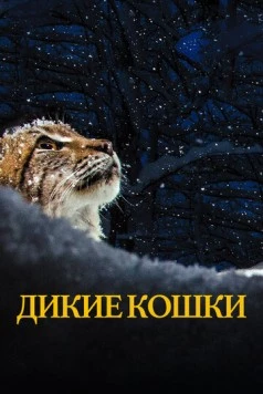 Дикие кошки (2021) торрент