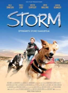 Шторм (2009) торрент