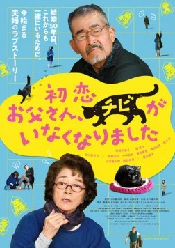 Котик пропал (2019) торрент