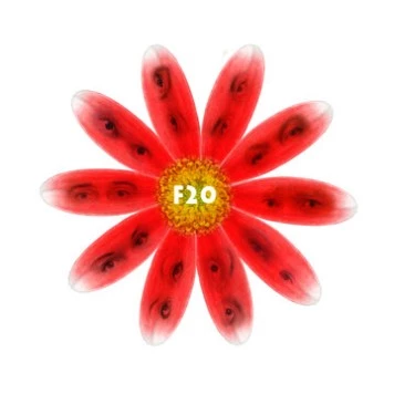 F20 (2011) торрент