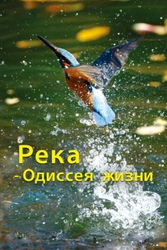 Река - одиссея жизни (2013) торрент